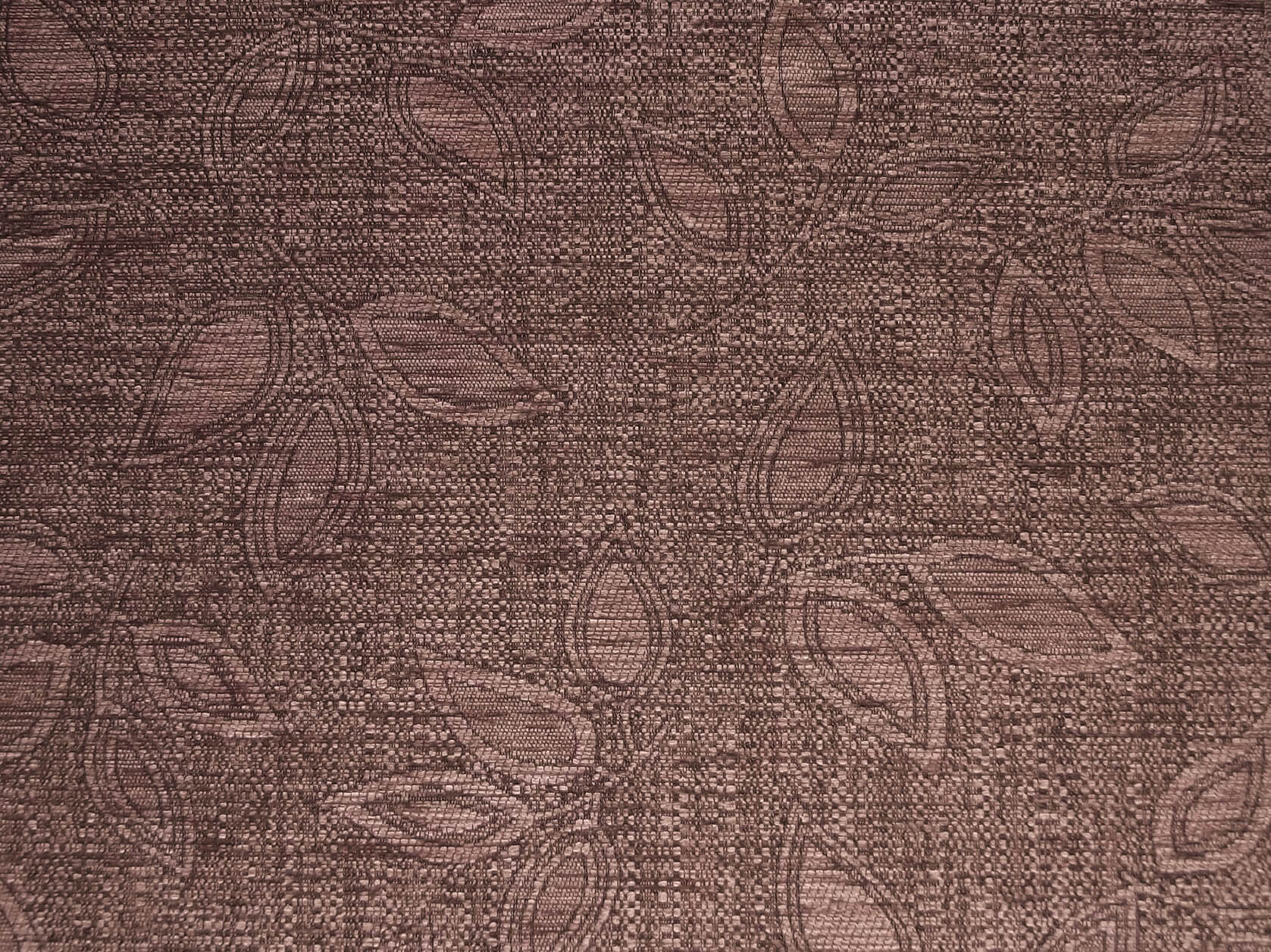 Kilburn Leaf Plum / SR12978