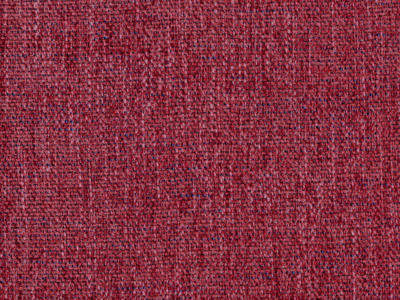 FER2450 CURRANT
