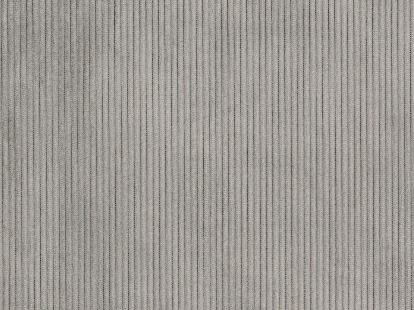 RIB2925 NUTMEG
