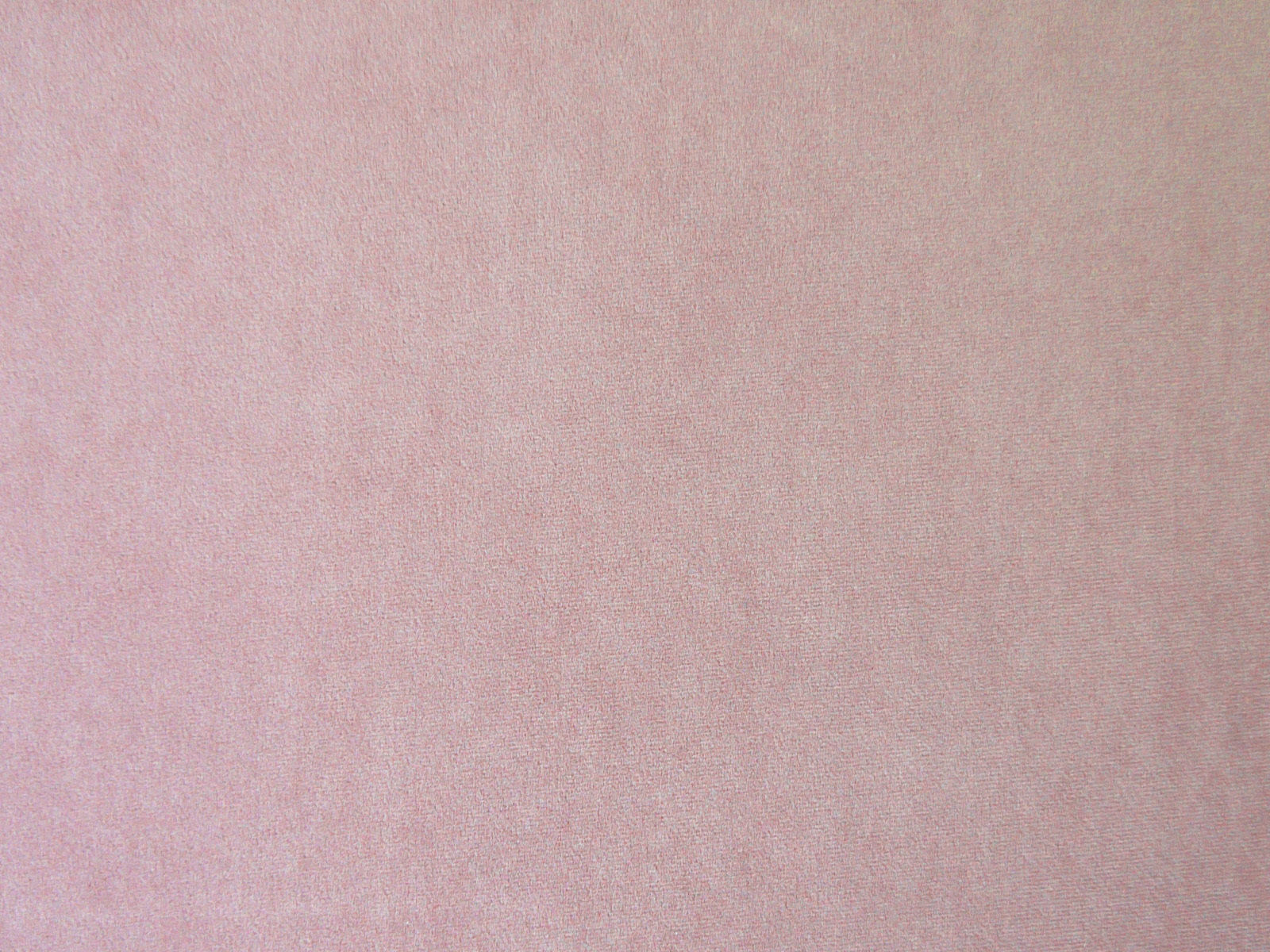 PAS2725 CLOVER