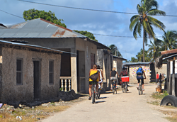 Tours and activities in Zanzibar