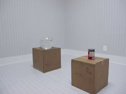 American Sex Room (an interrogation)
