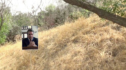 a ride in the park (smaller( (1)