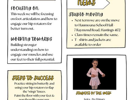 Copy of 2025 Term 2 - Week 9