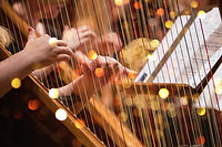AdobeStock harpe.jpeg