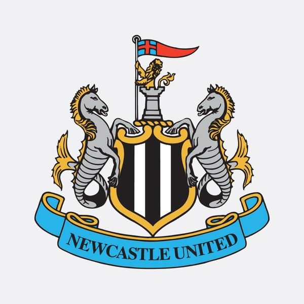 *NEWCASTLE UNITED 4 v CHELSEA 1 2023/24 Premier League*