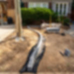 0I3A7133_sm copy_edited.jpg