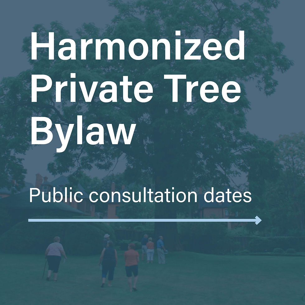 Harmonized Private Tree Bylaw