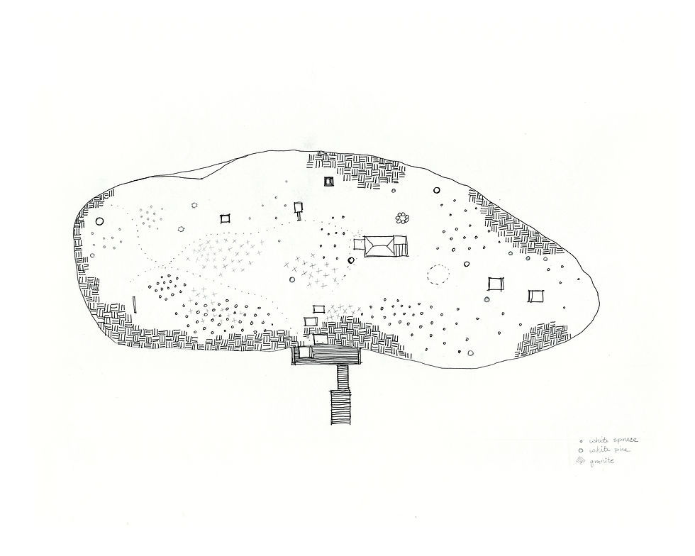 Halls Island Ecology