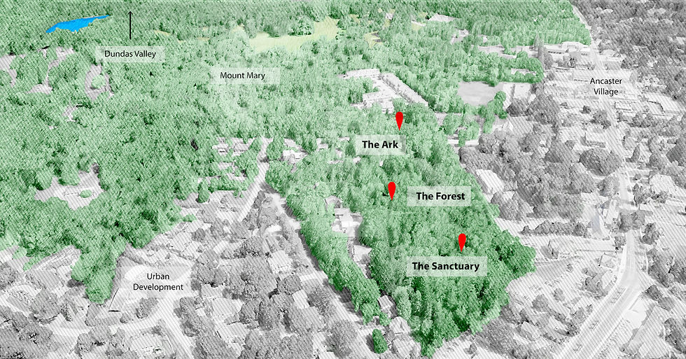 Fieldcote Eco Forest
