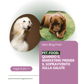 Quando il Marketing Prende il Sopravvento sulla Salute del Nostro Cane