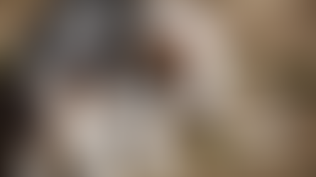 Affrontare la Diarrea nel Cane: Un Approccio Olistico alla Salute Digestiva