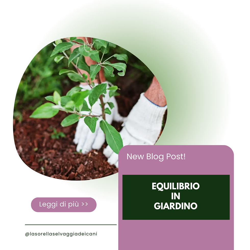 Equilibrio anche in giardino!