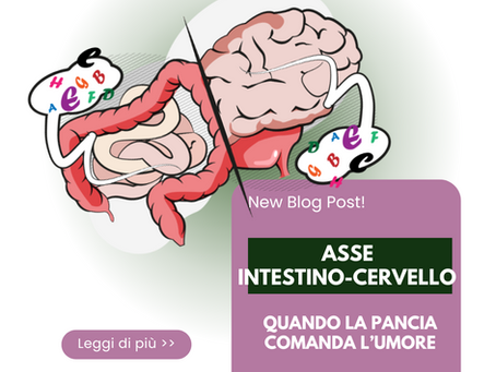 L’asse intestino-cervello nel cane: quando la pancia comanda l’umore