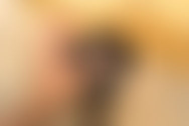 Perché il cane morde tutto?