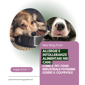 Allergie e Intolleranze Alimentari nei Cani: Come il Pet-Food Industriale Potrebbe Essere il Colpevole