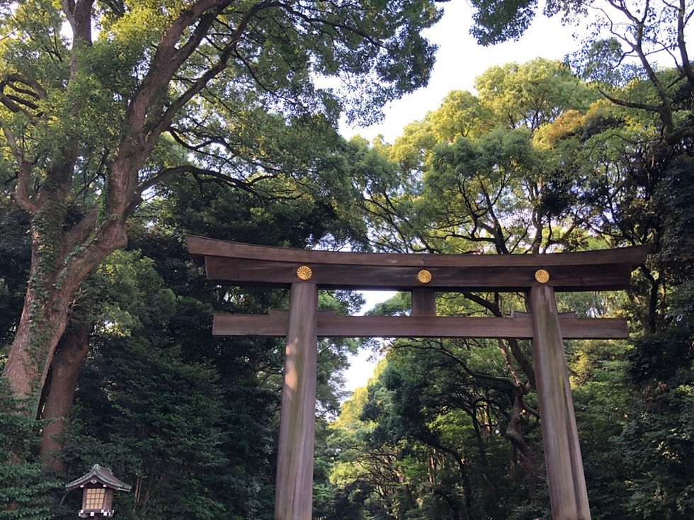 明治神宮 meijishrine opticienloyd loyd 眼鏡 メガネ 原宿 オプティシァンロイド