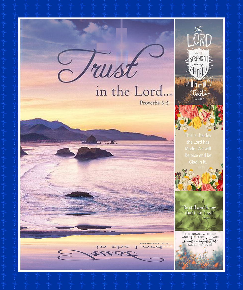 Thumbnail: For Savannah at P.S. Pet Grooming