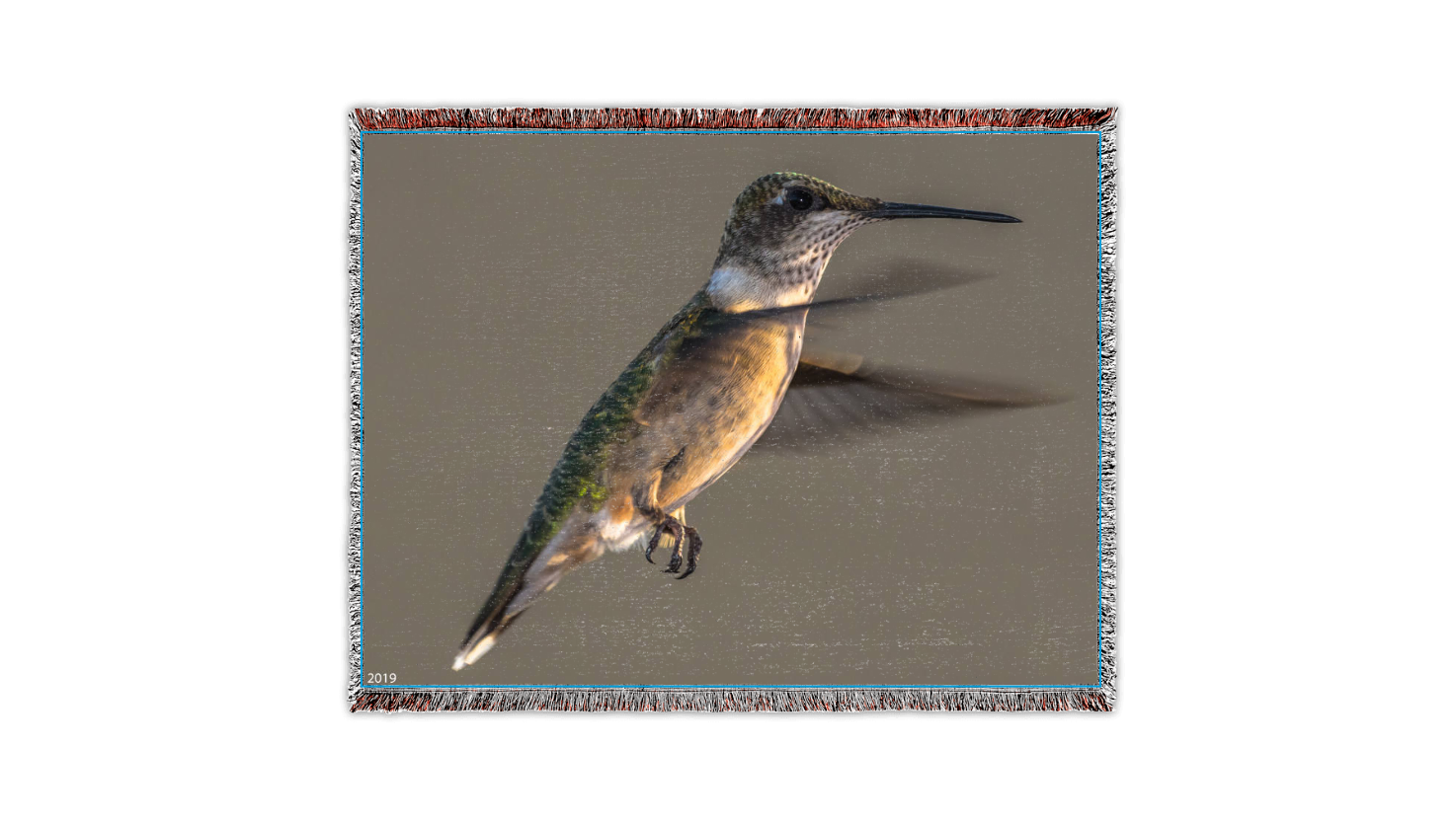 Hummingbird.2 by Ron Moser