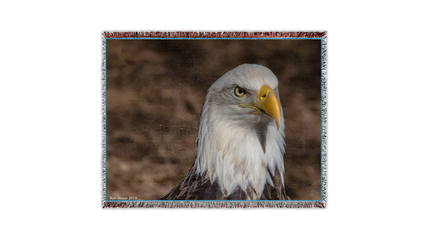 Eagle by Ron Moser