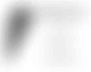 Medium Tear Drop - Template