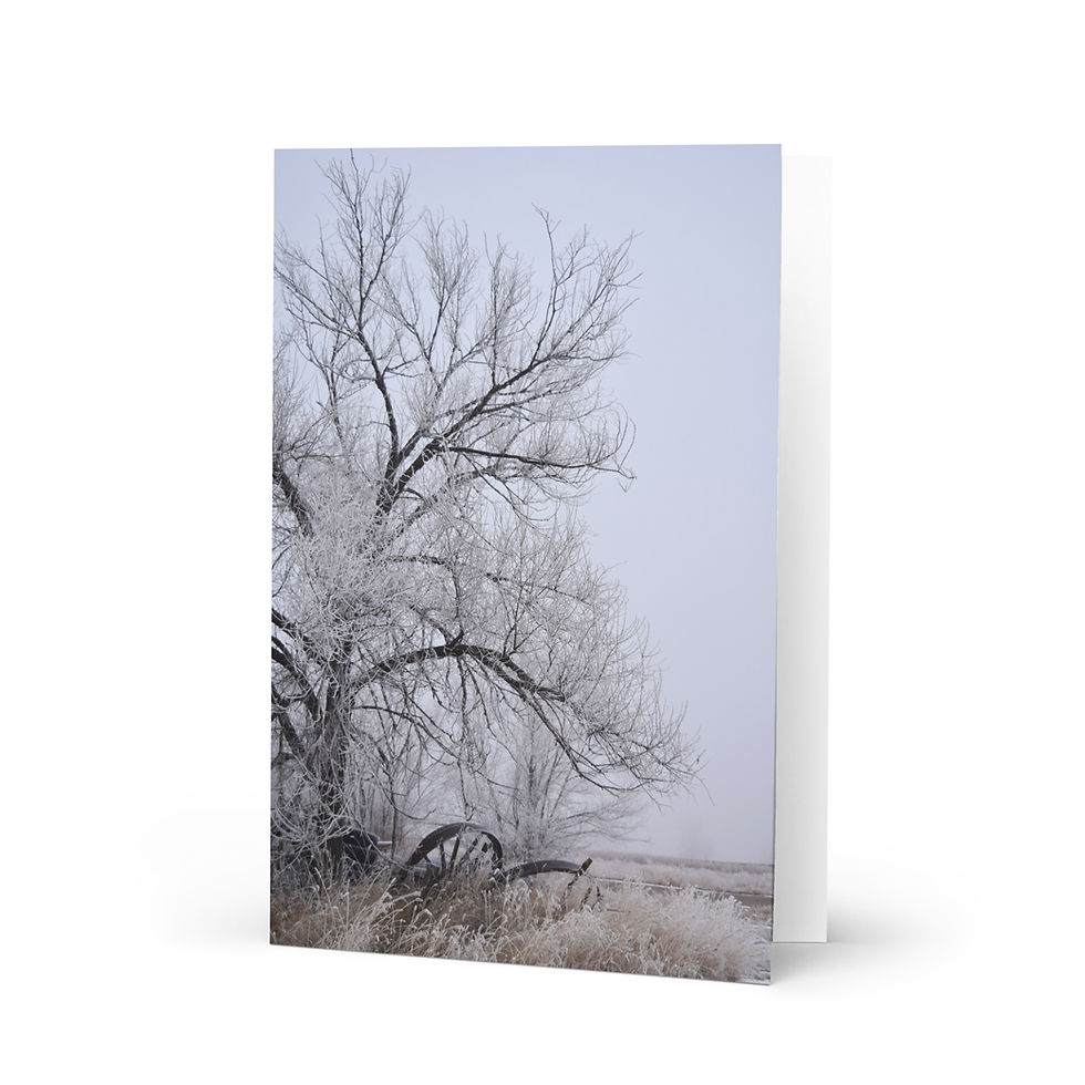 Thumbnail: Greeting card - Frosty Tree & Wagon Wheels