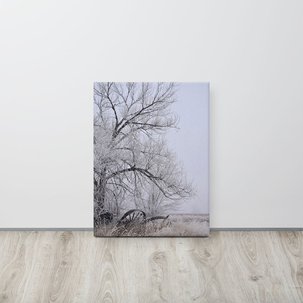 Thumbnail: Canvas - Frosty Tree & Wagon Wheels