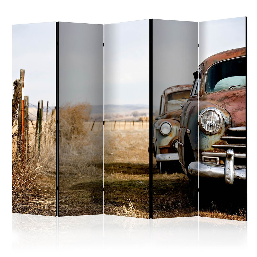 Thumbnail: Biombo - Two old, American cars II [Room Dividers]