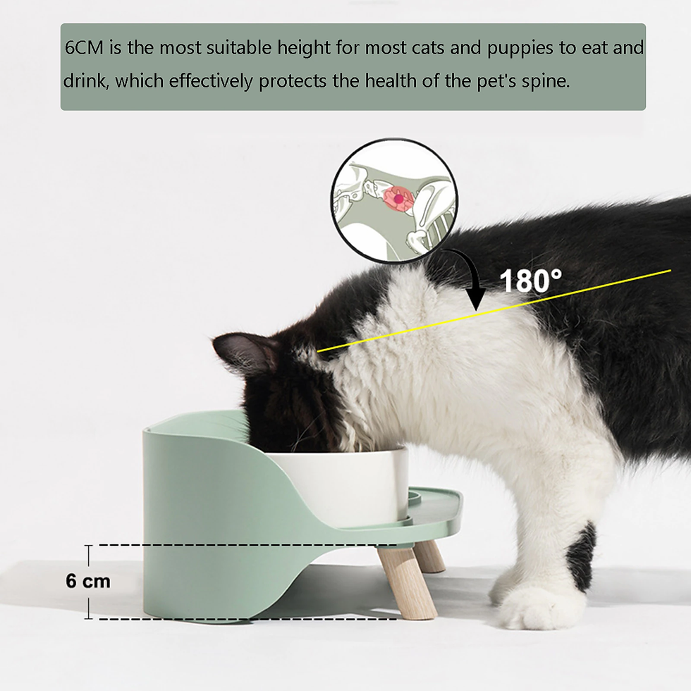 Thumbnail: SUPREPET Elevated Cat Bowl Non Slip Raised Pet Bowls Ceramics Feeder for Cats M