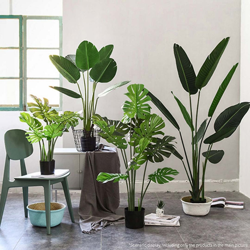 Thumbnail: 2X 80cm Artificial Indoor Potted Turtle Back Fake Decoration Tree Flower Pot Pla