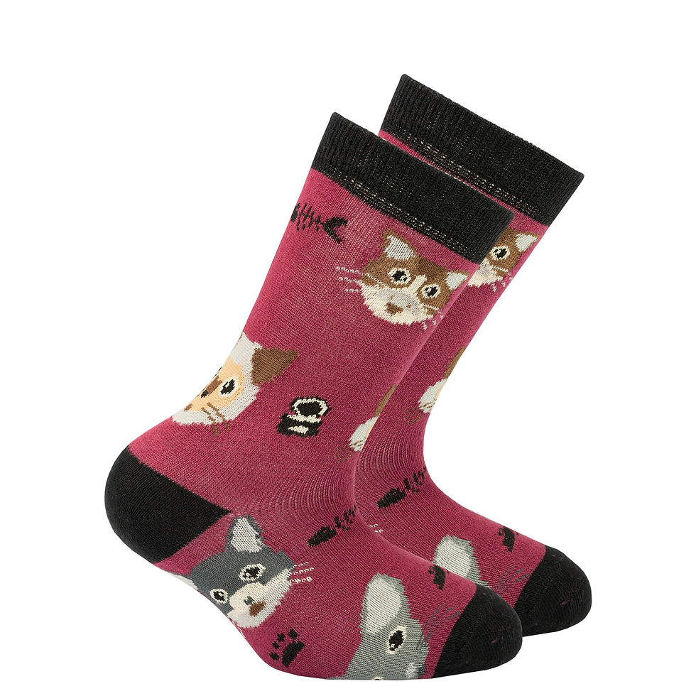 Thumbnail: Kids Cute Cats Socks
