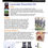 Thumbnail: Eucalyptus Essential Oil Info