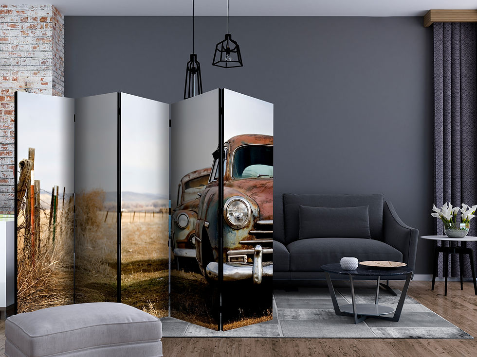 Thumbnail: Biombo - Two old, American cars II [Room Dividers]