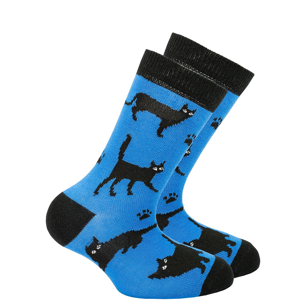 Thumbnail: Kids Cute Cats Socks