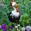 Thumbnail: Yard Art Decor Chicken Garden Lawn Plug Hen Rooster Ornaments Hens Bird Statues