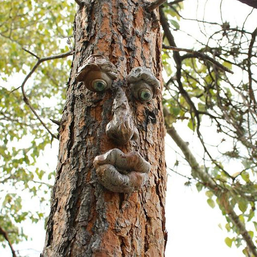 Thumbnail: Resin Naughty Gnome Dwarf Garden Decoration Statue Old Man Bark Ghost Face Fair