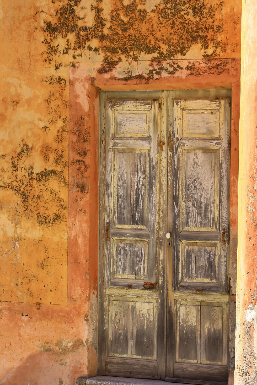 Old Door