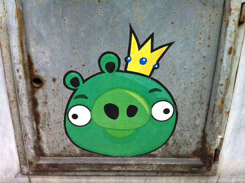 Kiss me I am a Prince