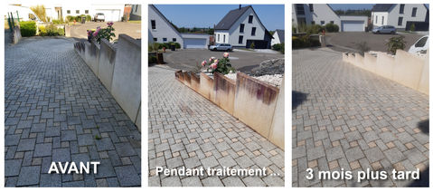 Mur en pierre avant, pendant et après traitement anti-mousse et antifongique montrant l’efficacité du nettoyage progressif par ASC-DRONE.