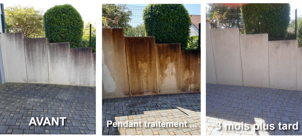 Mur en pierre avant, pendant et après traitement anti-mousse et antifongique montrant l’efficacité du nettoyage progressif par ASC-DRONE.