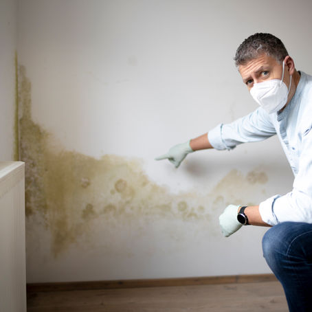 Wann sollten Sie nicht dämmen?