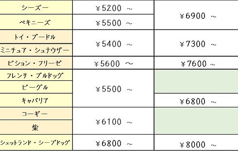 image2.jpeg