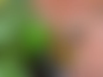 Riverbloom Cottage: A Riverfront Home: A Grandchildren’s Paradise of Chickens, Cooking, and Outdoor Fun