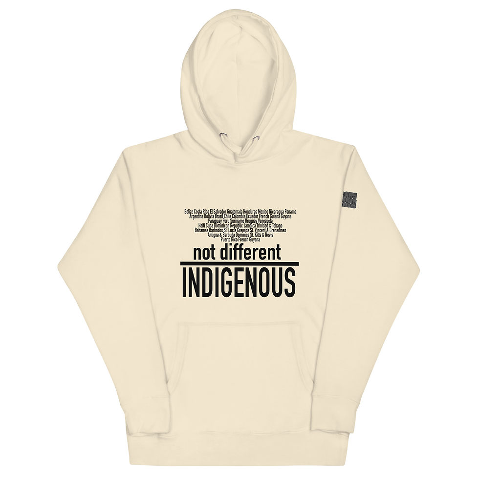 Thumbnail: We are not different. INDIGENOUS Unisex Hoodie