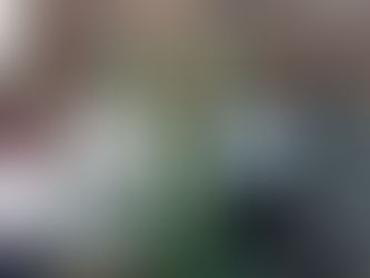 UM FREI QUE CELEBRA A MISSA CRIOULA