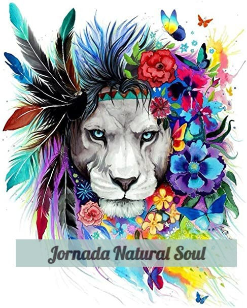 Jornada Natural Soul - 2022