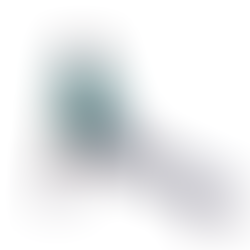 Evolução é consistência!