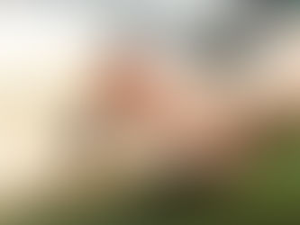 2025年甲子園優勝・沖縄尚学高校もメディセルを使用!