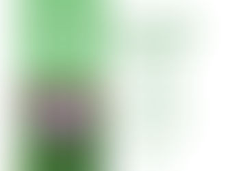 Liver Detox Patches: Benefits, Side Effects, and How to Use