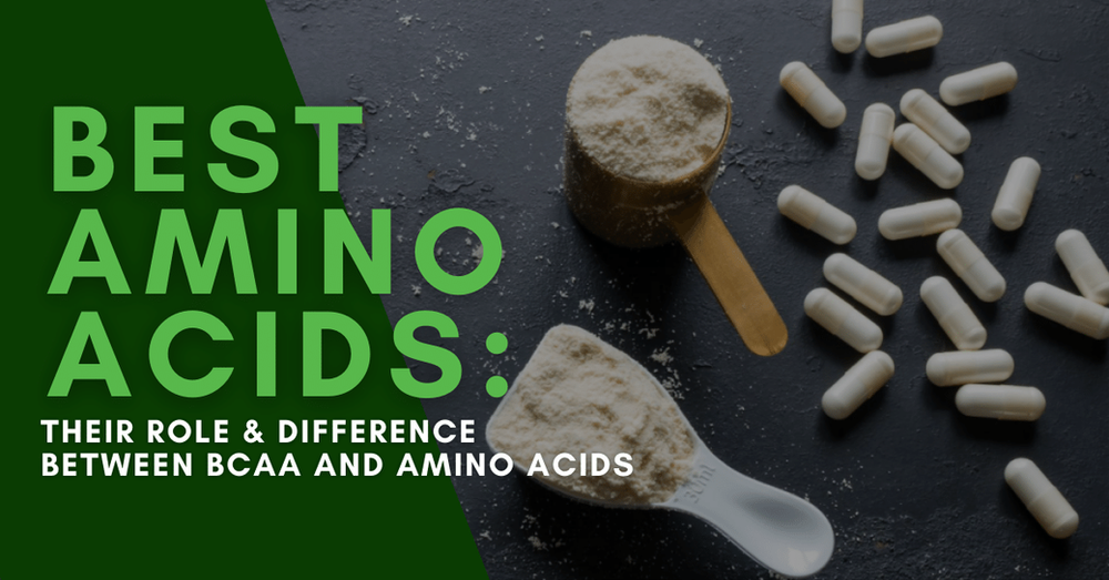Best Amino Acids Learn How Are BCAA & Amino Acids Different